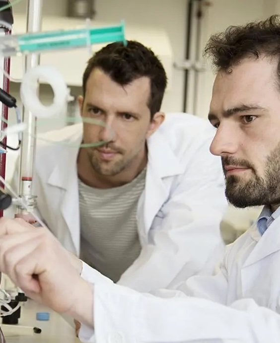 DirectSens team at work